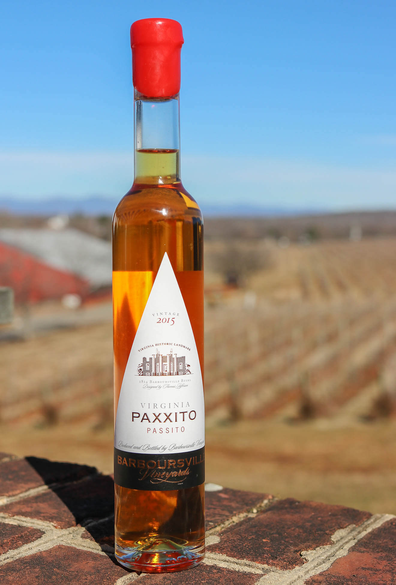 Paxxito bottle with vineyard background