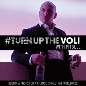 Pitbull turn up the voli