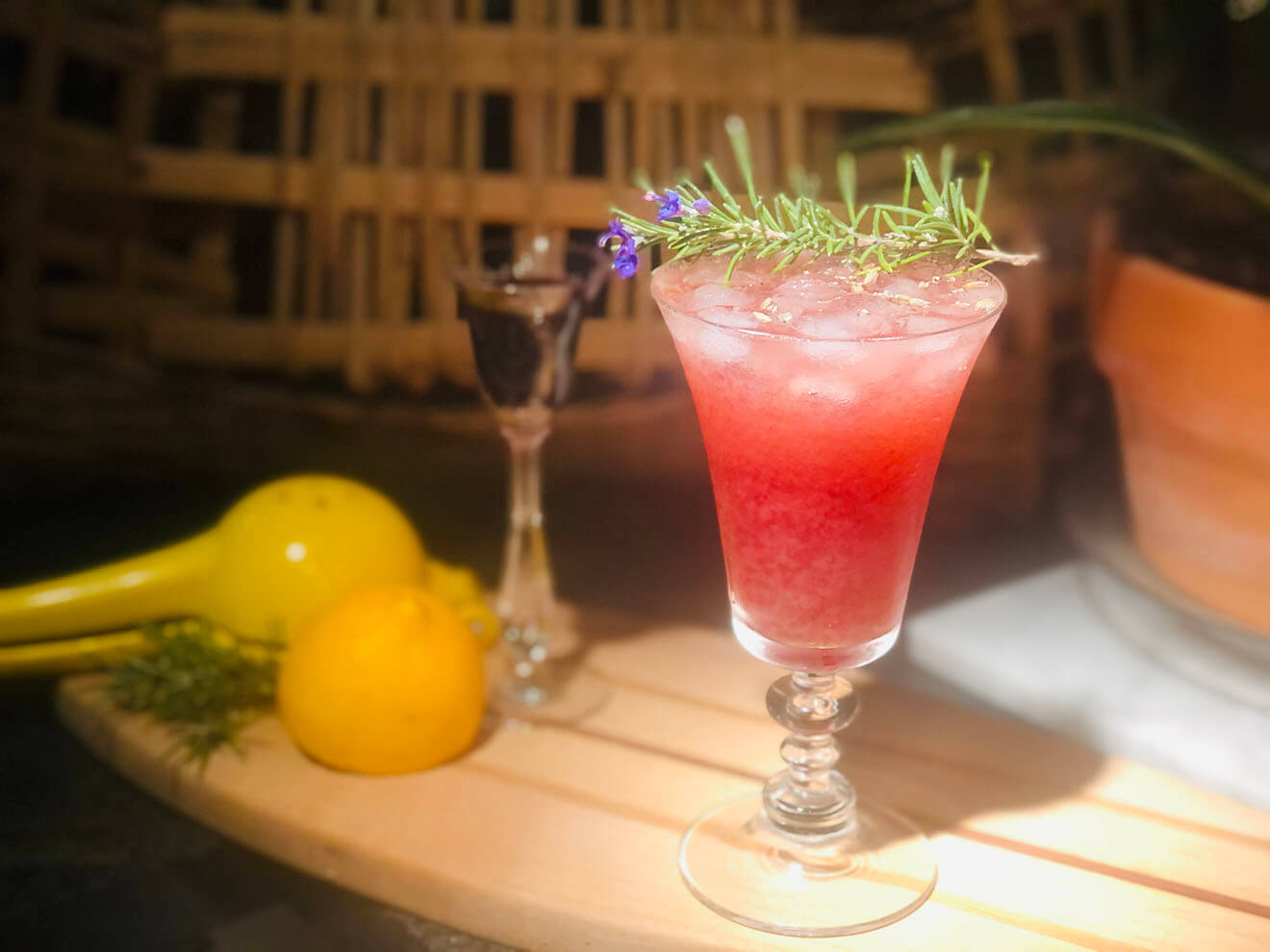 BLOODY BEE’S KNEES!!