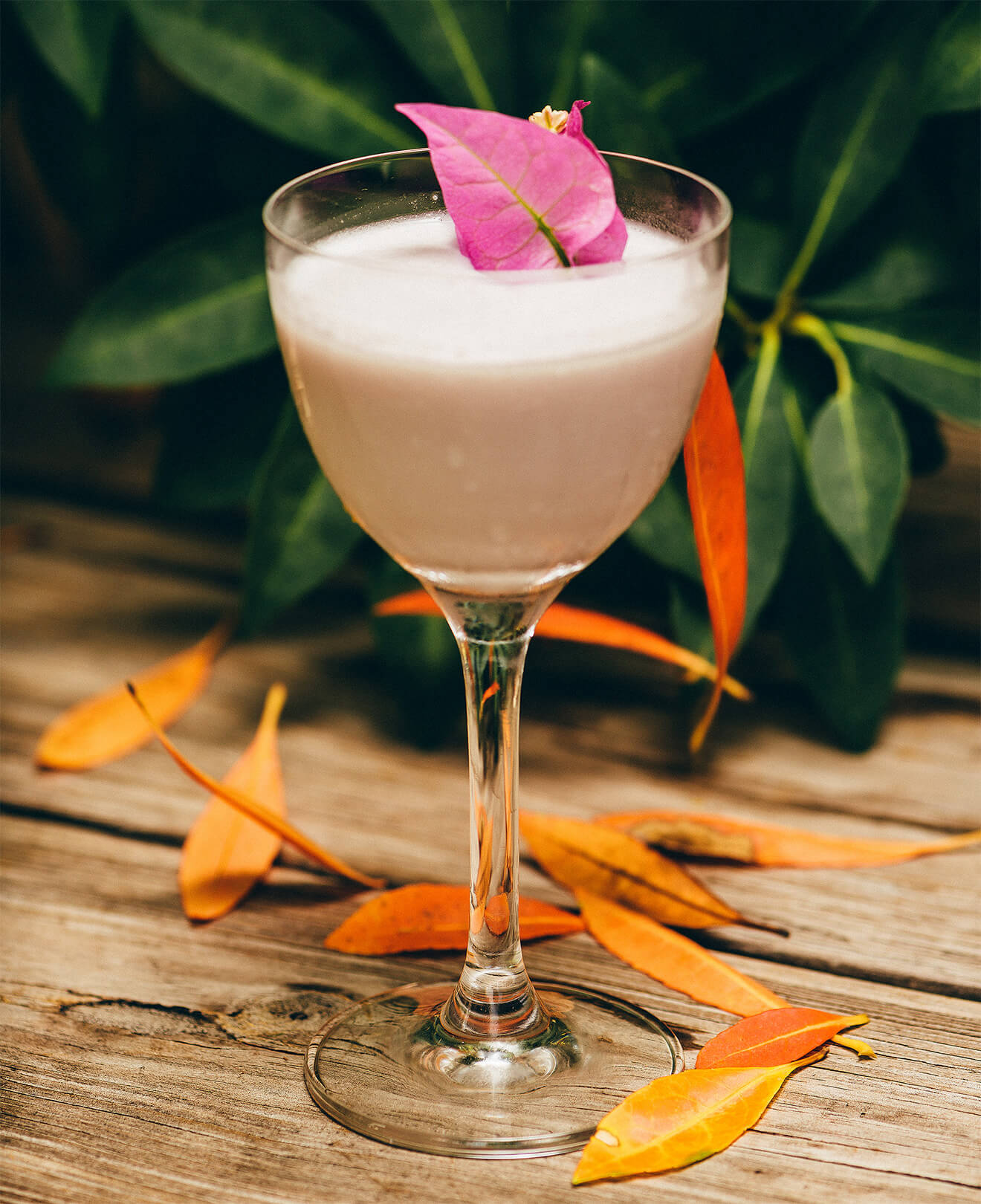 Purple Rain, cocktail with garnish, garden background