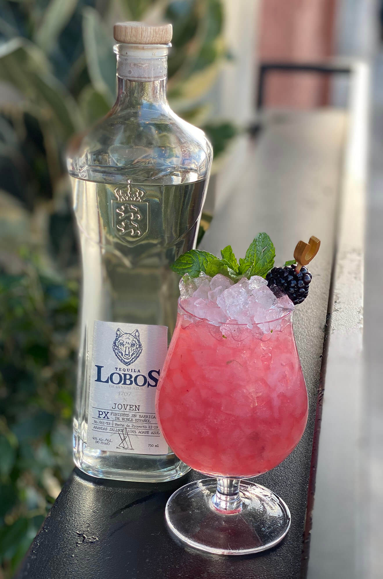 Raul Pool - Lobo Negra