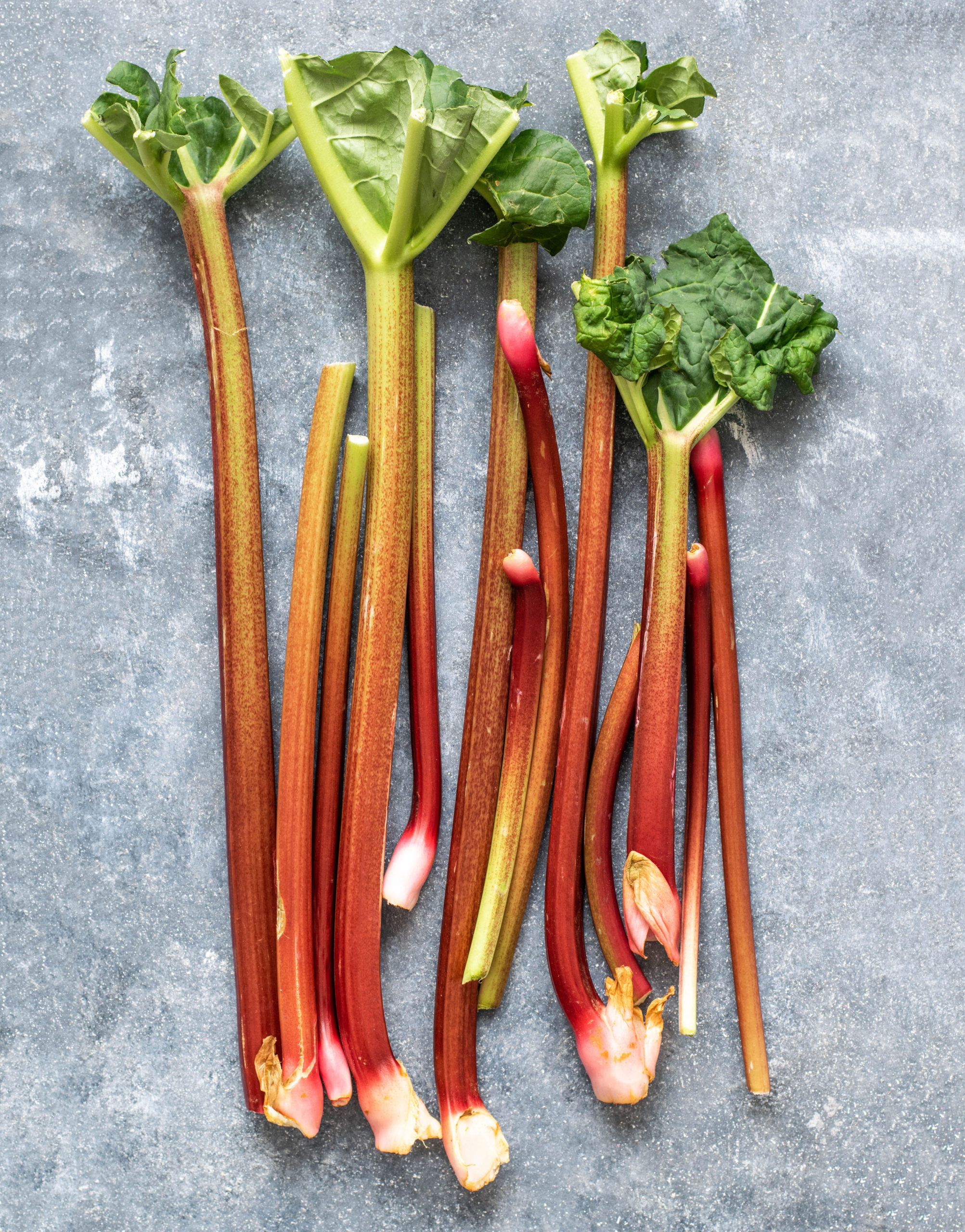 Rhubarb
