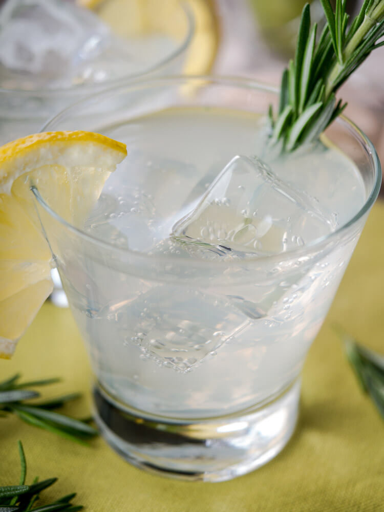 Rosemary Gin Fizz