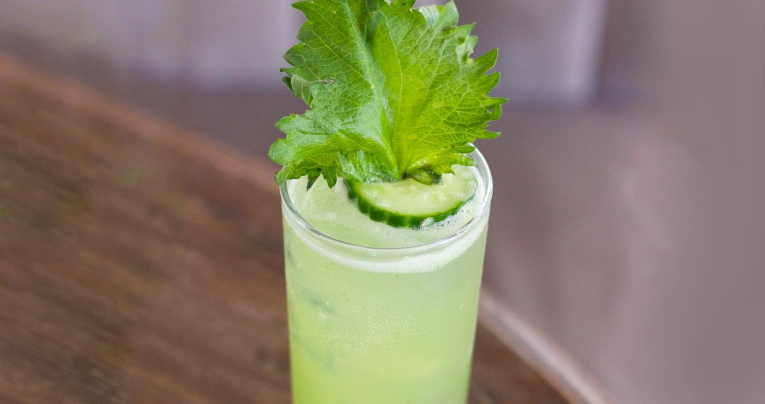 Crafting Cocktails with Shiso, featured image