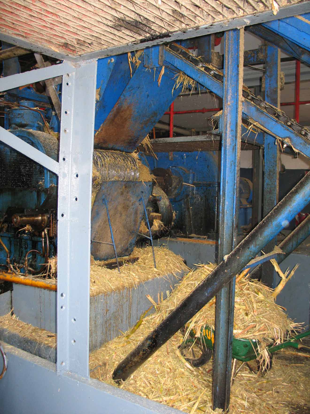 Shredded Cane Being Pressed for Juice