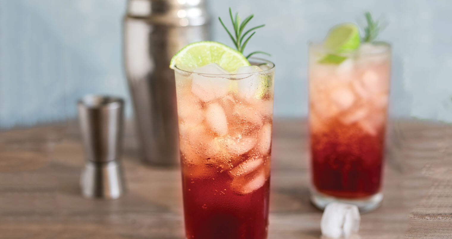 Sloe Gin Fizz, featured image