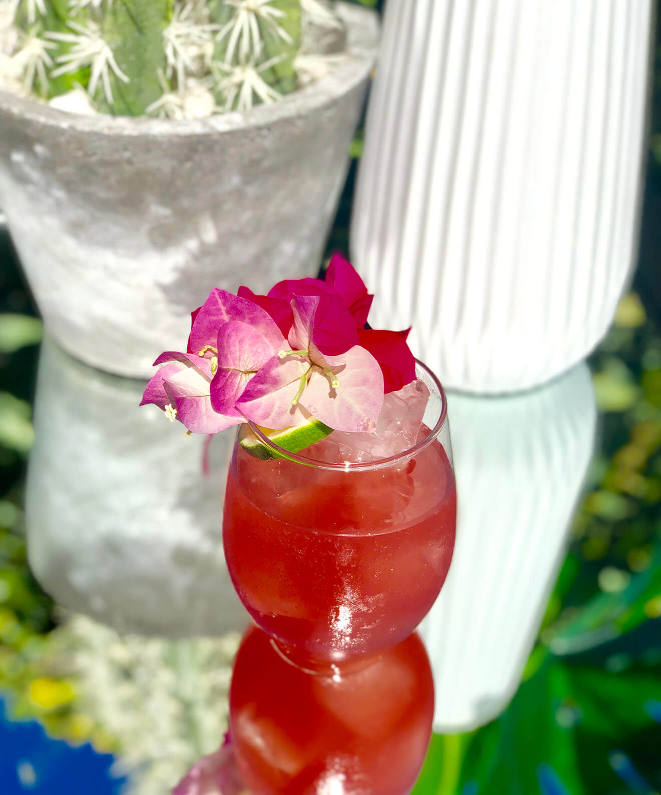 South Island Seltzer