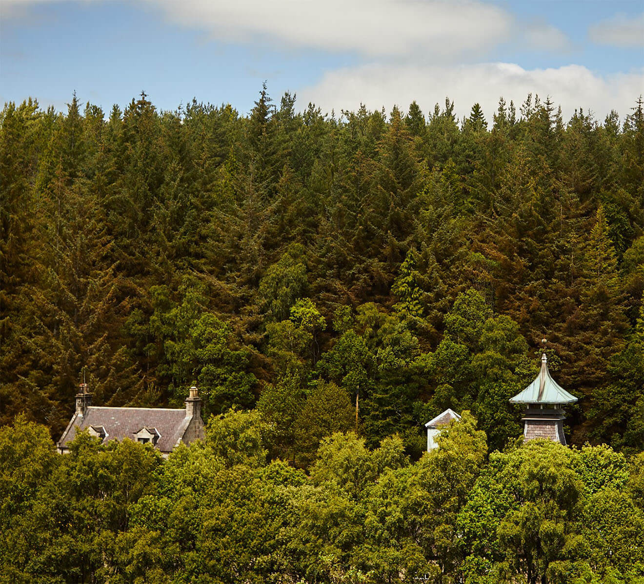 Speyburn Distillery peeking over the trees