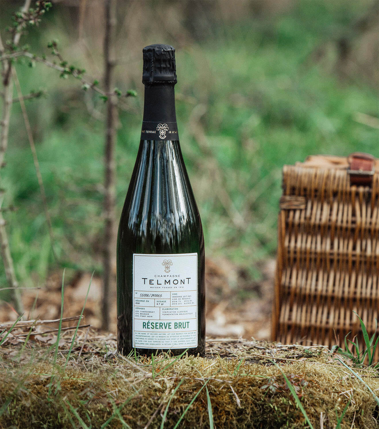 Telmont Tasting National Champagne Day