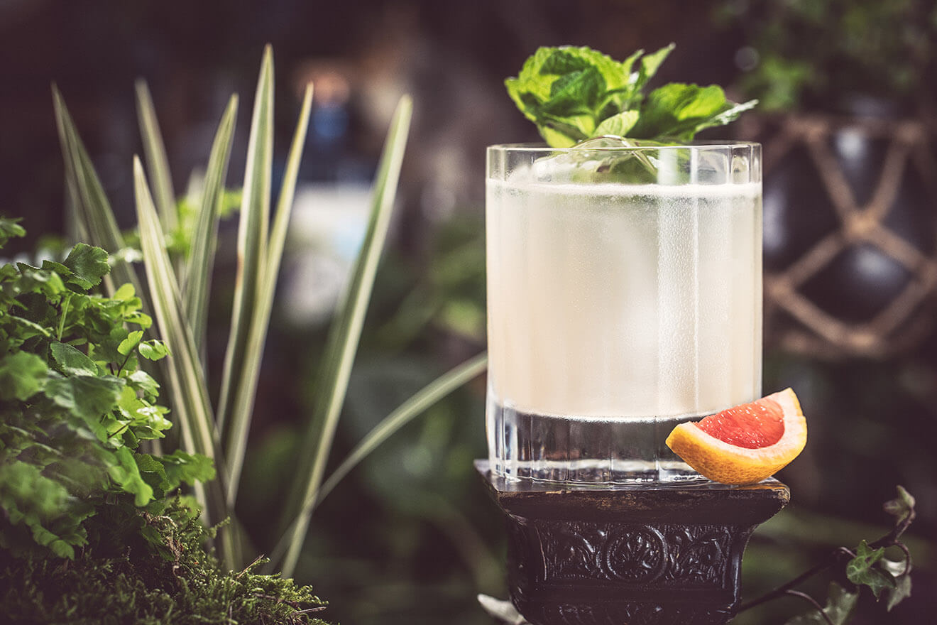 The Curious Jackalope