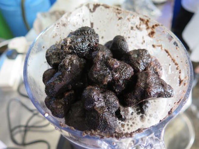 Truffles Used in Black Moth Truffle Vodka