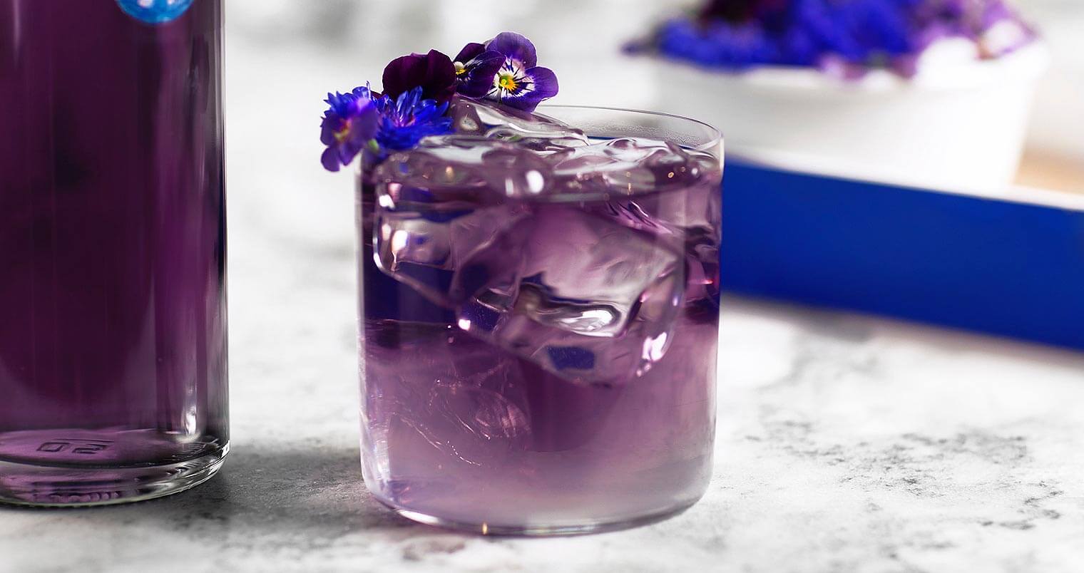 The Ultraviolet cocktail, featured image