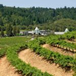 Ford Coppola's Pool & Winery Exterior, industry news