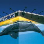 Wylands Artwork on Pier 39