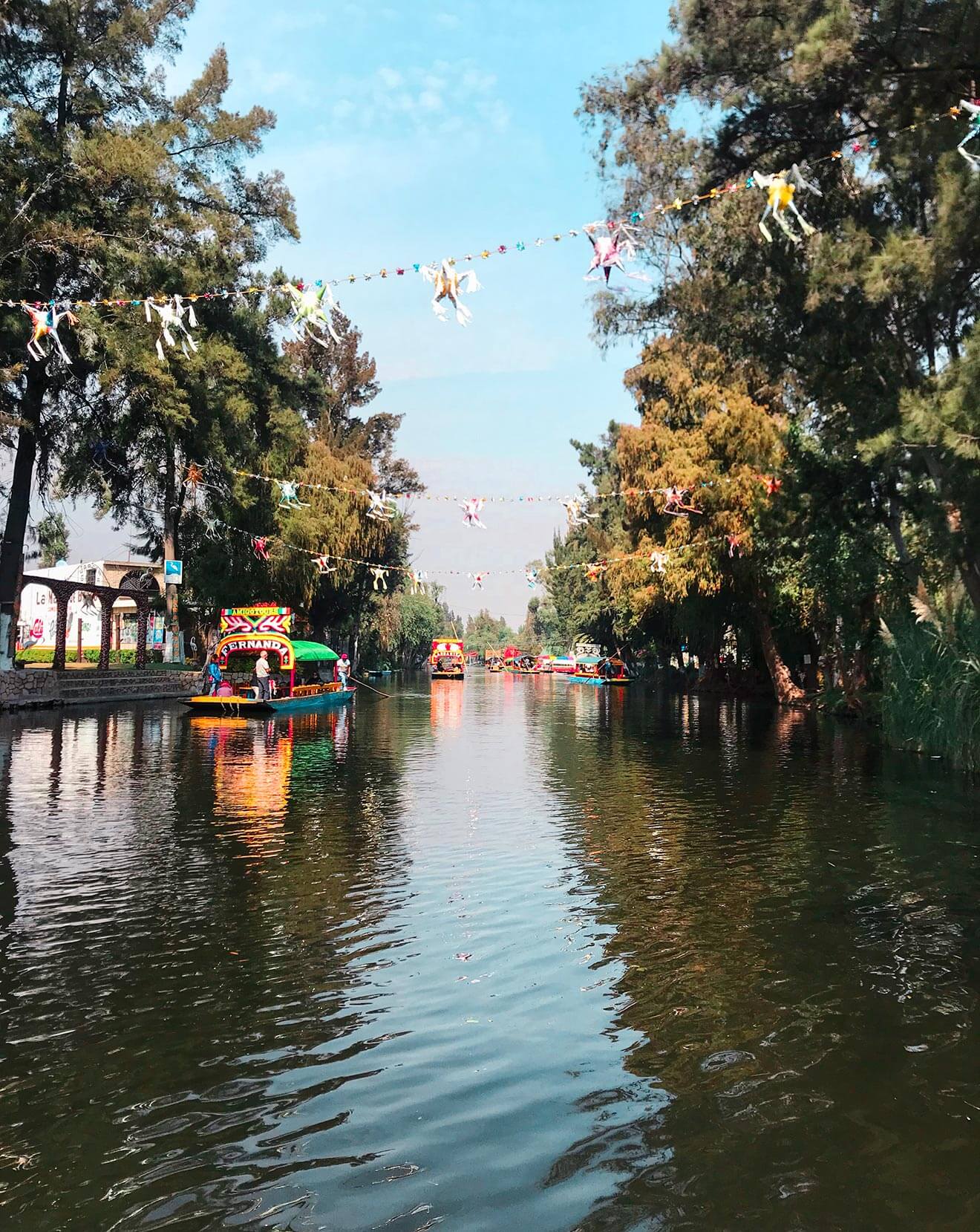 Xochimilco canal view with trees