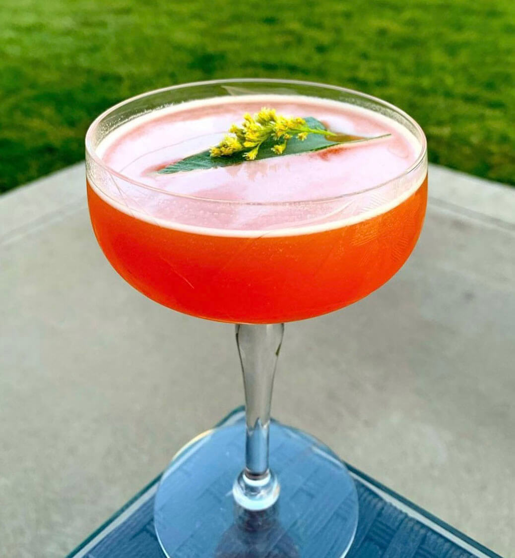 Young-Wild-Free-Jesse-Hubbard