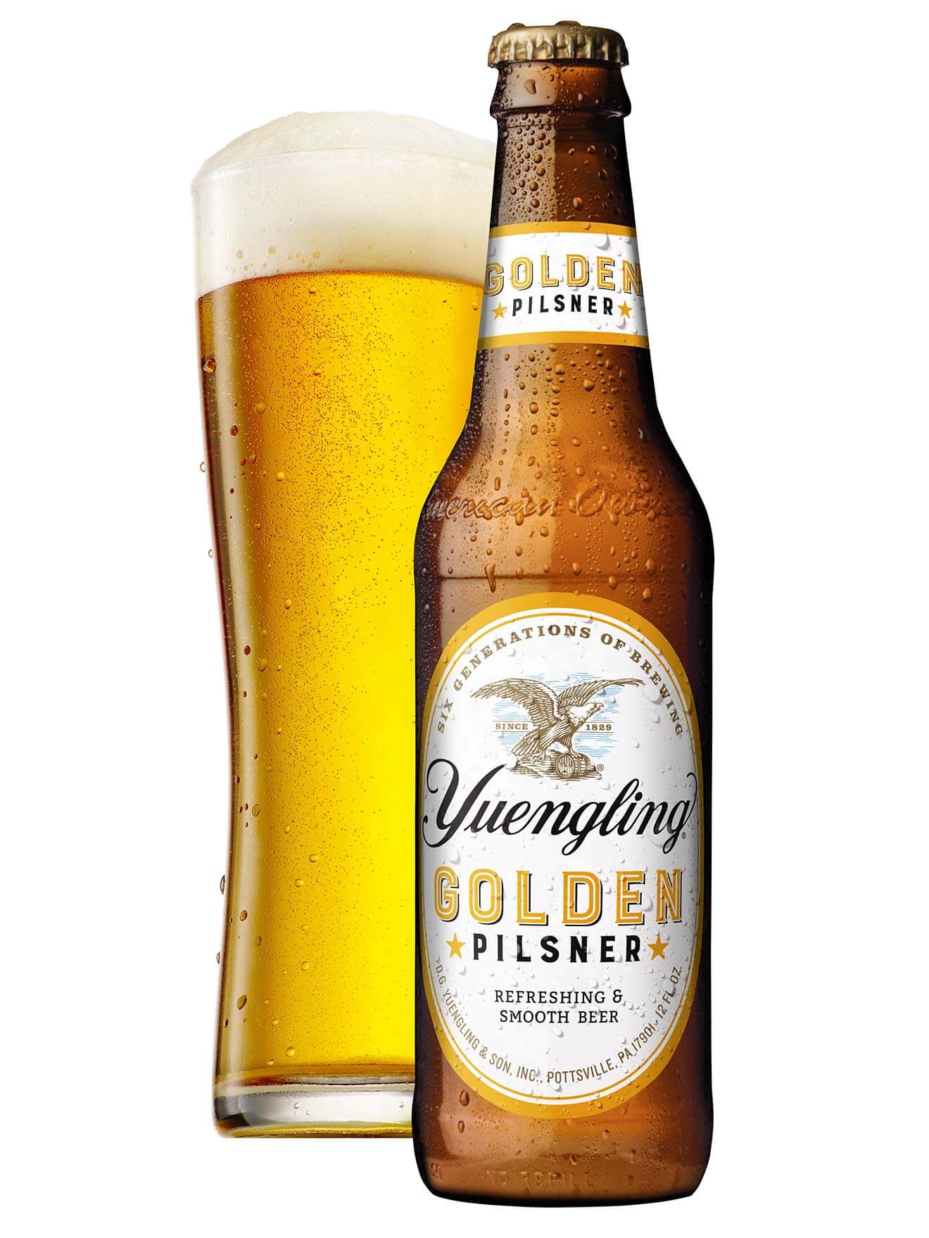 Yuengling's Golden Pilsner, bottle and glass on white