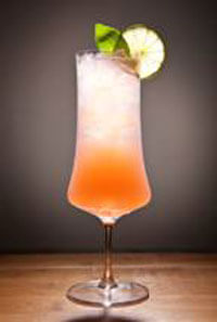basil-paloma