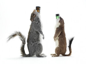 brewdog-squirrels-facing