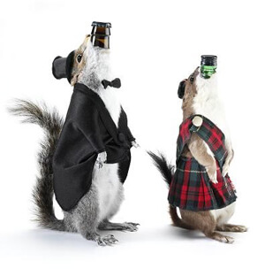 brewdog-squirrels-fancy-dress