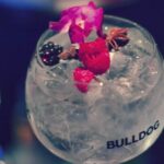 Bulldog Modern Gin & Tonic Competition Recap cocktails