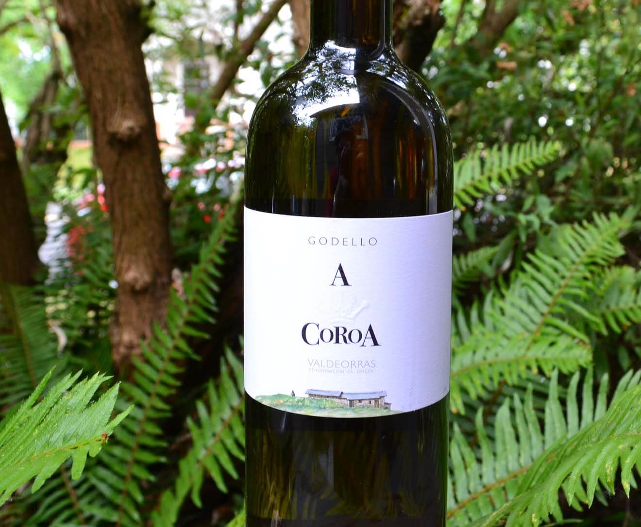 Coroa Godello 2013