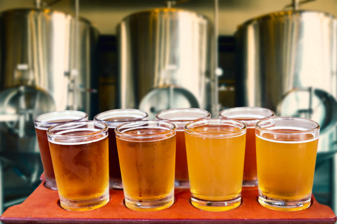 Craft Beer Sips for the Sunny Season