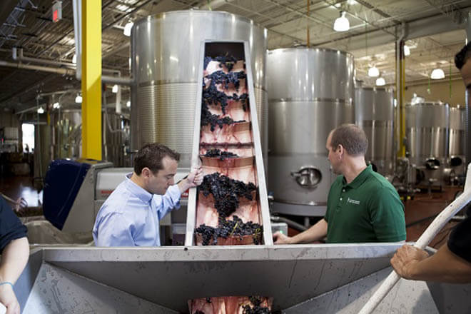 Wine Grapes Being Processed