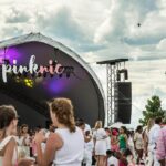 Rosé-Themed Picnic and Music Festival Blankets Governors Island