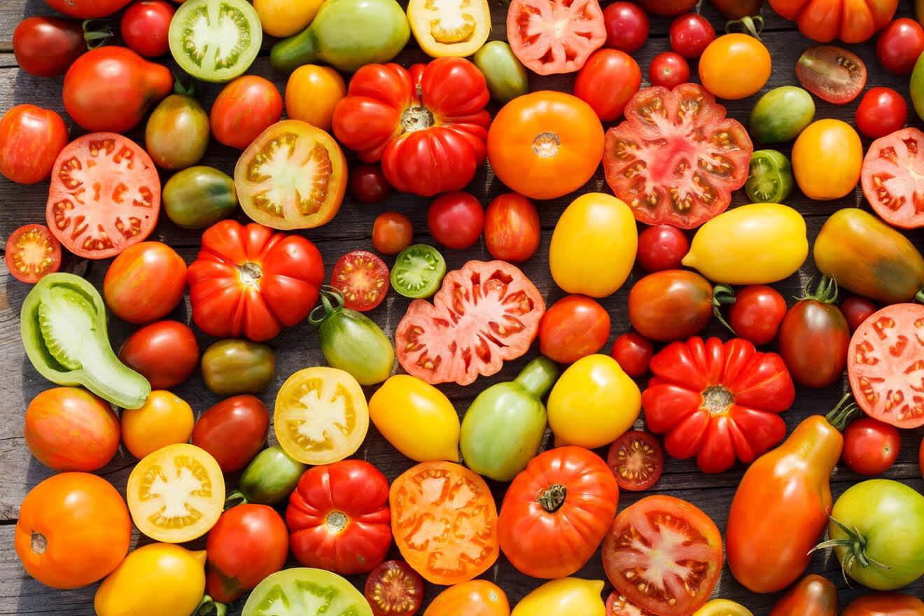 Tomato Varieties