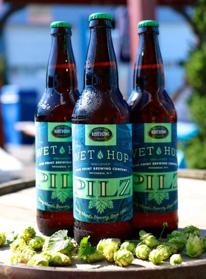 Wet Hop Pilz
