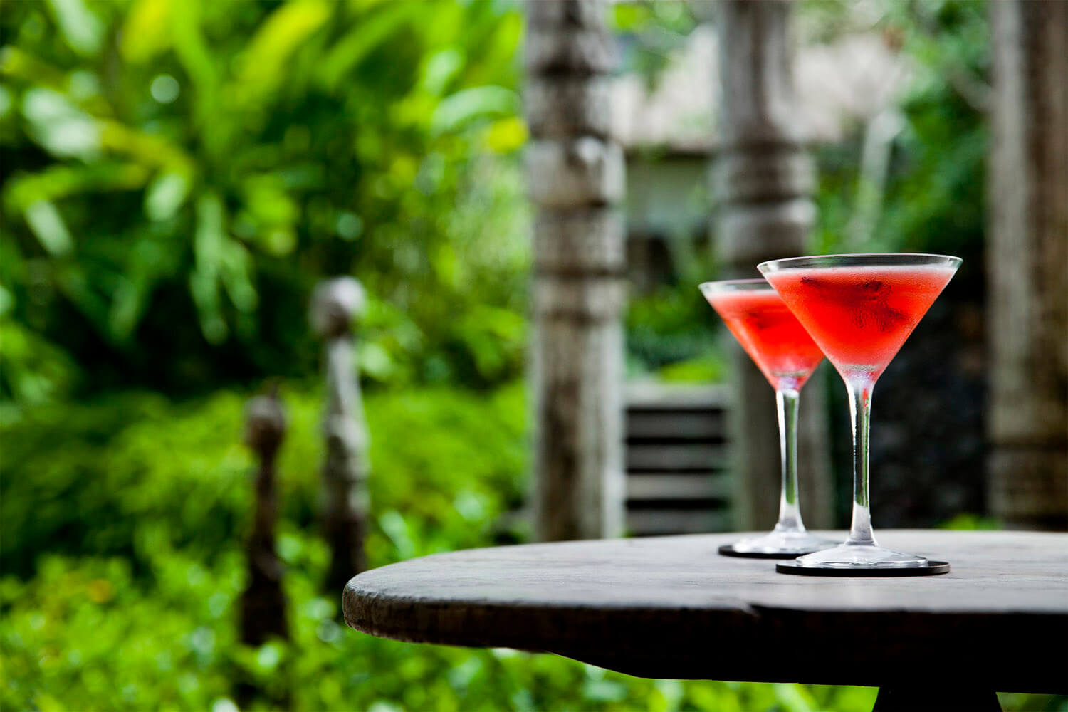 Wild Hibiscus Cosmo